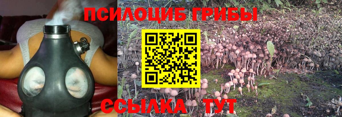 Псилоцибиновые грибы мицелий  Вход с VPN  Каменск-Уральский  Галлюциногенные грибы прущие грибы 